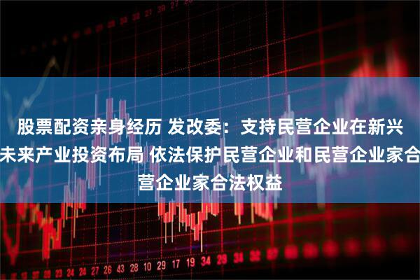 股票配资亲身经历 发改委：支持民营企业在新兴产业、未来产业投资布局 依法保护民营企业和民营企业家合法权益
