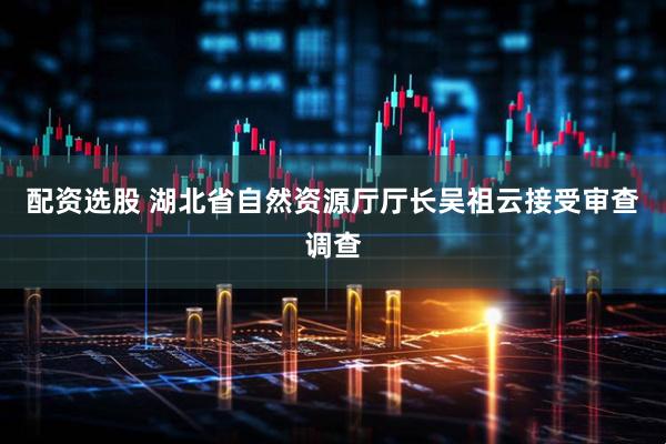配资选股 湖北省自然资源厅厅长吴祖云接受审查调查