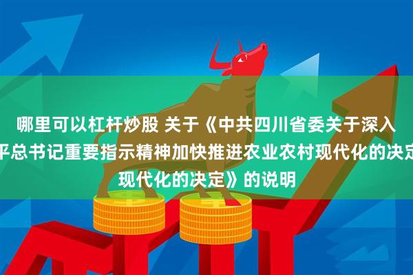 哪里可以杠杆炒股 关于《中共四川省委关于深入贯彻习近平总书记重要指示精神加快推进农业农村现代化的决定》的说明